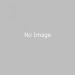 LEDニューホワイトドロップ用トランス(パワーコード付き)