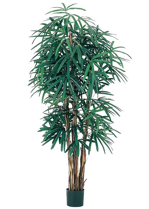 180cmラピスパームツリー(ナチュラルトランク)