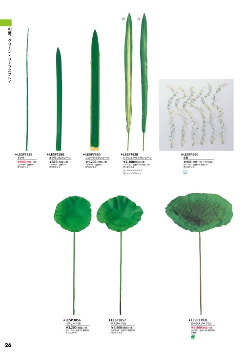 水草 MIZ 水草図鑑 『ラージパールグラス Micranthemum umbrosum』 : SONO